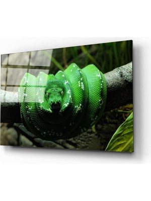Aras Glass Art Yılan 2 Cam Tablo