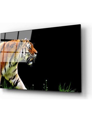 Aras Glass Art Kaplan 4 Cam Tablo