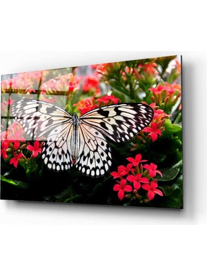 Aras Glass Art Kelebek Cam Tablo