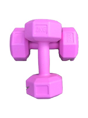 Buffer 2 kg Dambıl Seti Ağırlık Seti 2 kg 2 Adet ( Pembe )