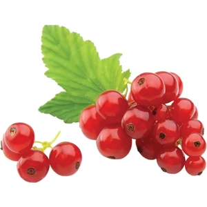 Sebze Meyve Dünyası Frenk Üzümü (125 gr)