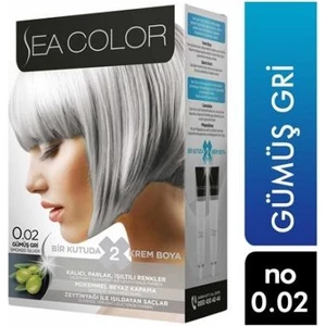 Sea Color Seacolor 2'li Krem Saç Boyası 0.02 Gümüş Gri