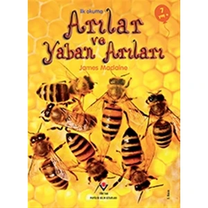 İlk Okuma - Arılar ve Yaban Arıları - James Maclaine