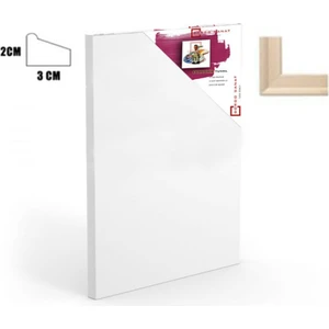 Bordo Sanat Tuval 20X50 cm
