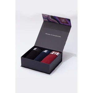 Paul Kenzie Galaxy Erkek Boxer 3 Adet