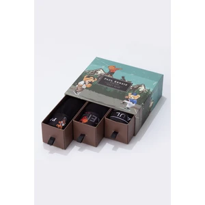 Paul Kenzie Teddy Bear Erkek Boxer 3 Adet