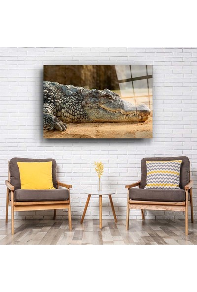 Aras Glass Art Timsah Cam Tablo