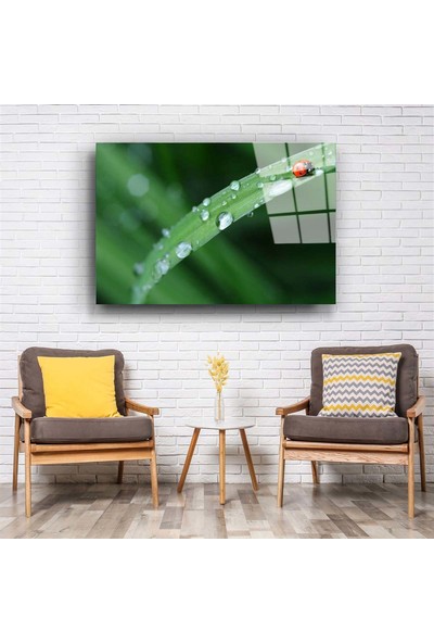 Aras Glass Art Uğur Böceği Cam Tablo