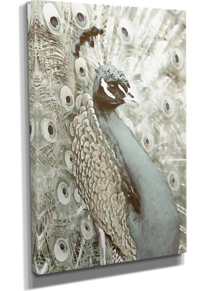 Dekoratif Tasarım3 Tavus Kuşu Canvas Tablo