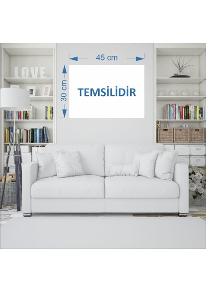 DEKORATIF40 Atatürk Canvas Tablo