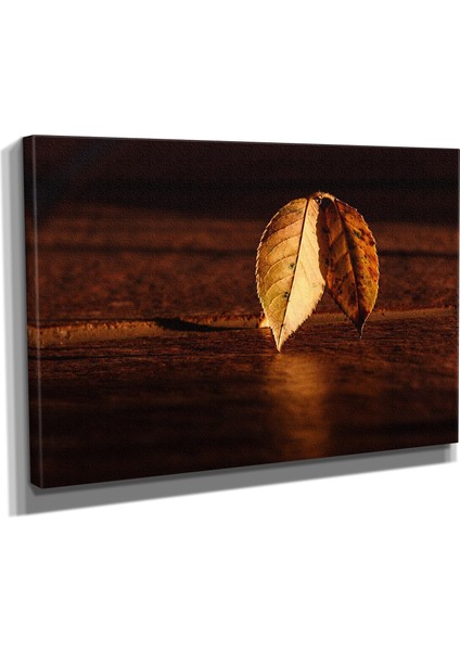 DEKORATIF21 Kahverengi Yapraklar Canvas Tablo