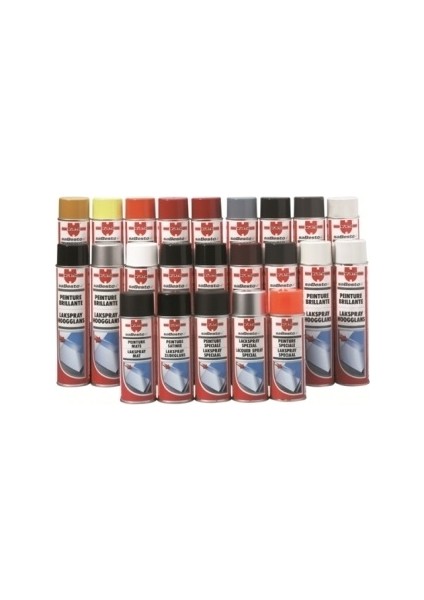 Bakalit Boya RAL9005 Mat Siyah 400ML