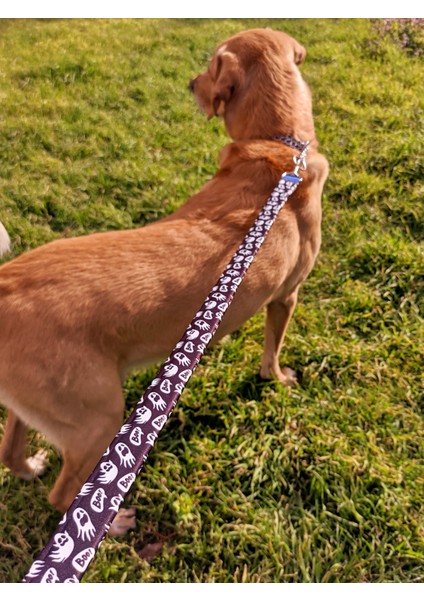 Boo Köpek Uzatma Tasma Sevk Kayışı 100 x 2,5 cm