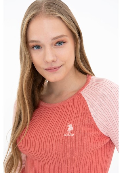 Kadın Kiremit Triko Kazak fiyatları