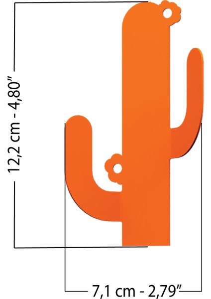 Kaktüs Tasarım Renkli Duvar Askısı Takı Düzenleyici Askılık Havluluk
