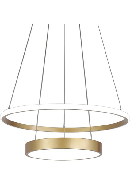 Darvin Sarkıt-3 fiyatları