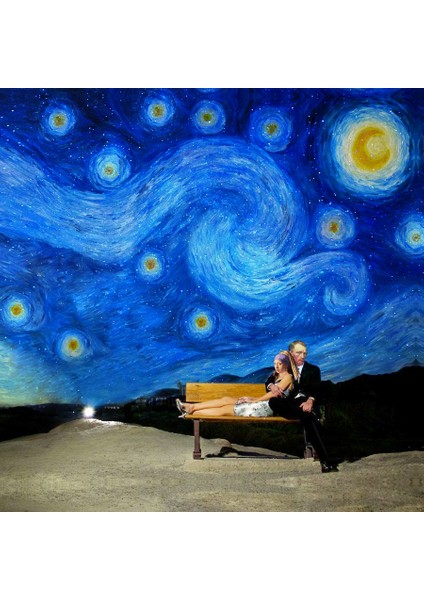 A Romantic Starry Night fiyatları