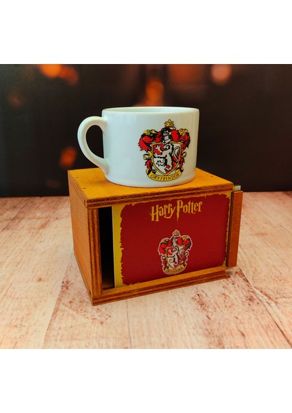 Harry Potter Kupa ve Harry Potter Parlak Defter fiyatları