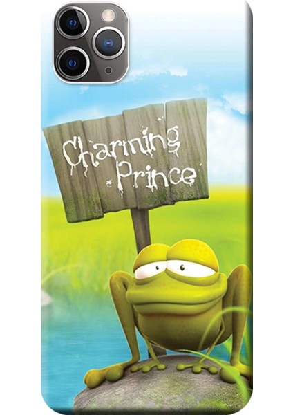 Apple iPhone 11 Pro Kılıf Kurbağa Prens Baskılı Esnek TPU Silikon