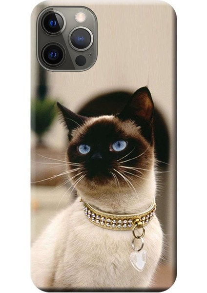 Apple iPhone 12 Pro Max Kılıf Kedi Resim Baskılı Esnek TPU Silikon