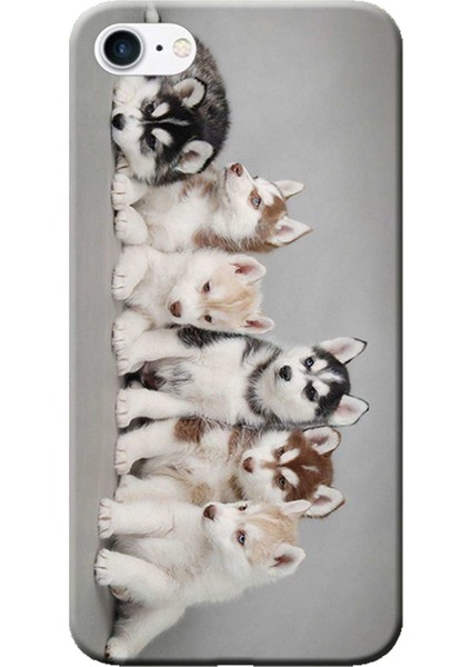 Apple iPhone 6 Plus Kılıf Husky Eskimo Köpekler Baskılı Esnek TPU Silikon