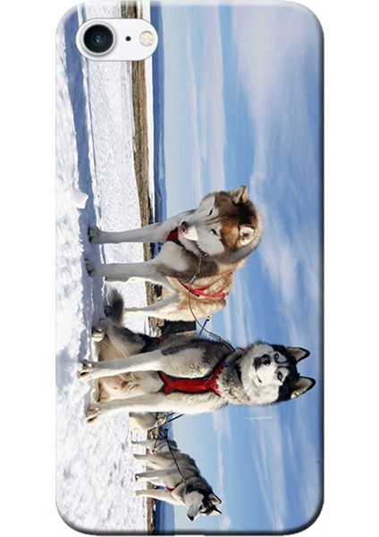 Apple iPhone 6 Plus Kılıf Kızak Husky Eskimo Köpek Baskılı Esnek TPU Silikon