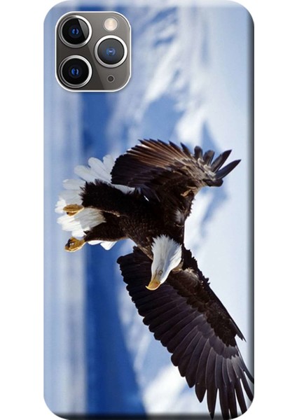 Apple iPhone 11 Pro Kılıf Kartal Baskılı Esnek TPU Silikon