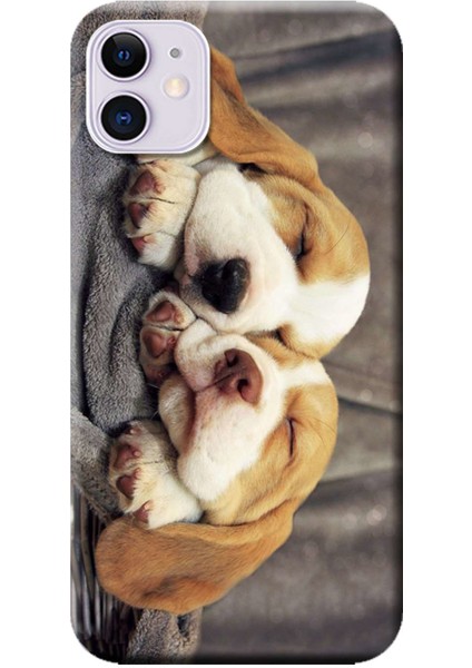 Apple iPhone 11 Kılıf Uyuyan Sevimli Köpekler Baskılı Esnek TPU Silikon