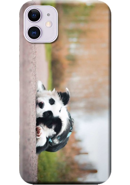 Apple iPhone 11 Kılıf Sevimli Miskin Köpek Baskılı Esnek TPU Silikon