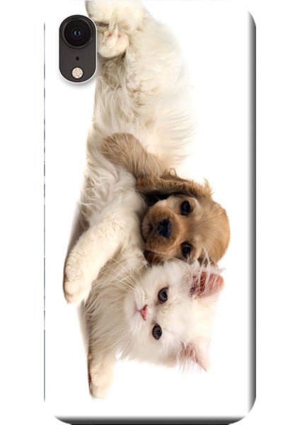 Apple iPhone XR Kılıf Kedi ve Köpek Baskılı Esnek TPU Silikon