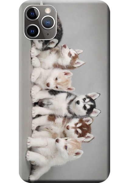 Apple iPhone 11 Pro Max Kılıf Husky Eskimo Köpekler Baskılı Esnek TPU Silikon