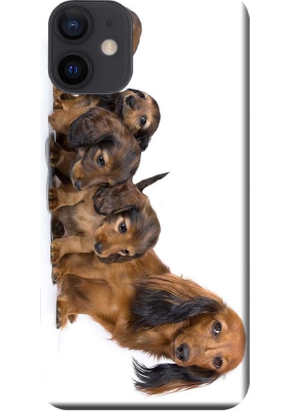 Apple iPhone 12 Mini Kılıf Yavru Köpekler Baskılı Esnek TPU Silikon