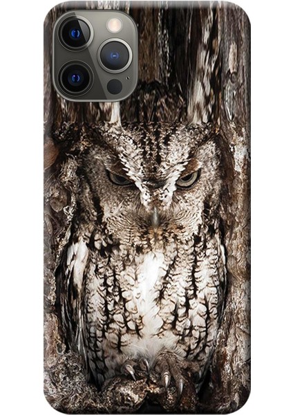 Apple iPhone 12 Pro Kılıf Baykuş Baskılı Esnek TPU Silikon