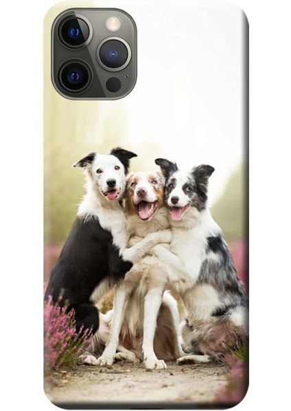 Apple iPhone 12 Pro Max Kılıf Sevimli Köpekler Sarılma Baskılı Esnek TPU Silikon