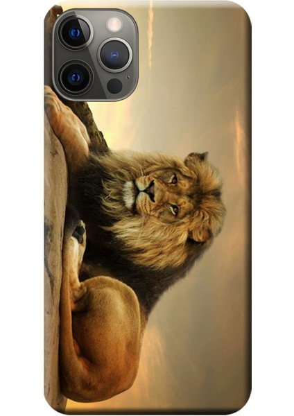 Apple iPhone 12 Pro Max Kılıf Aslan Baskılı Esnek TPU Silikon