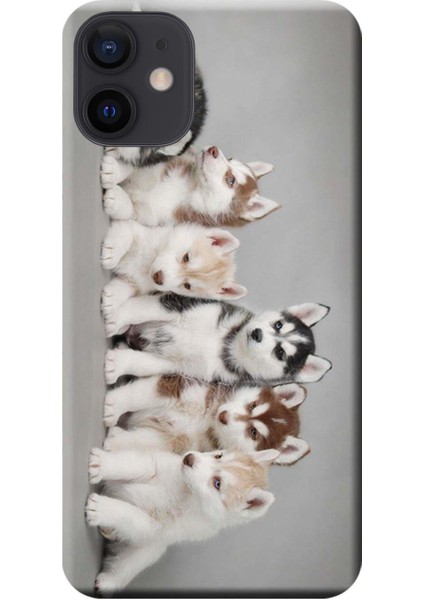 Apple iPhone 12 Mini Kılıf Husky Eskimo Köpekler Baskılı Esnek TPU Silikon