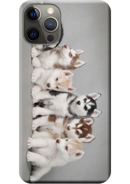 Apple iPhone 12 Pro Max Kılıf Husky Eskimo Köpekler Baskılı Esnek TPU Silikon