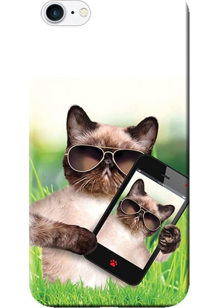 Apple iPhone 8 Kılıf Cool Cat Telefon Baskılı Esnek TPU Silikon