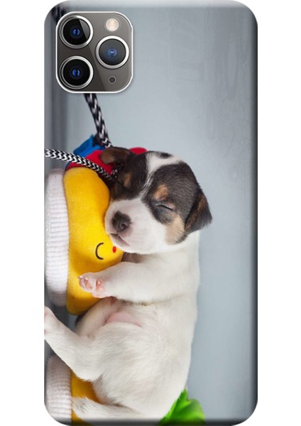 iPhone 11 Pro Kılıf Uyuyan Köpek Baskılı Esnek Tpu SILIKON276