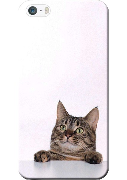 Apple iPhone 5/5S Kılıf Tekir Kedi Baskılı Esnek TPU Silikon