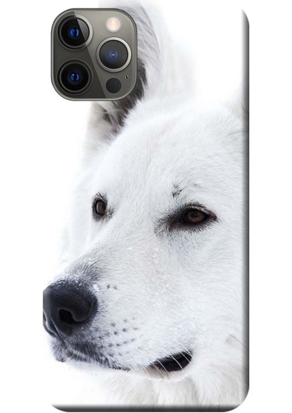 Apple iPhone 12 Pro Kılıf Beyaz Kurt Baskılı Esnek TPU Silikon