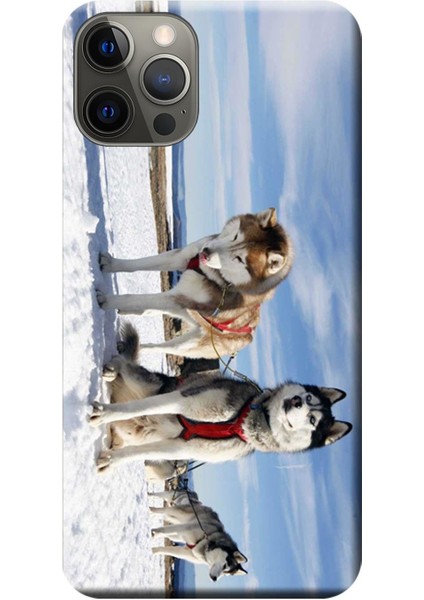 Apple iPhone 12 Pro Kılıf Kızak Husky Eskimo Köpek Baskılı Esnek TPU Silikon