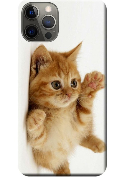 Apple iPhone 12 Pro Kılıf Sevimli Kedi Baskılı Esnek TPU Silikon