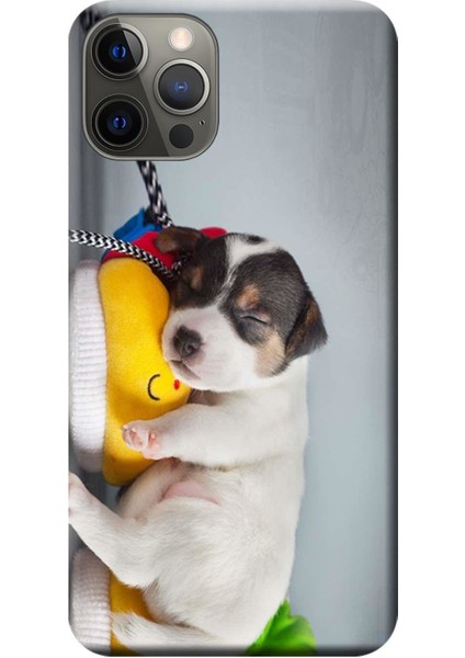 Apple iPhone 12 Pro Max Kılıf Uyuyan Köpek Baskılı Esnek TPU Silikon