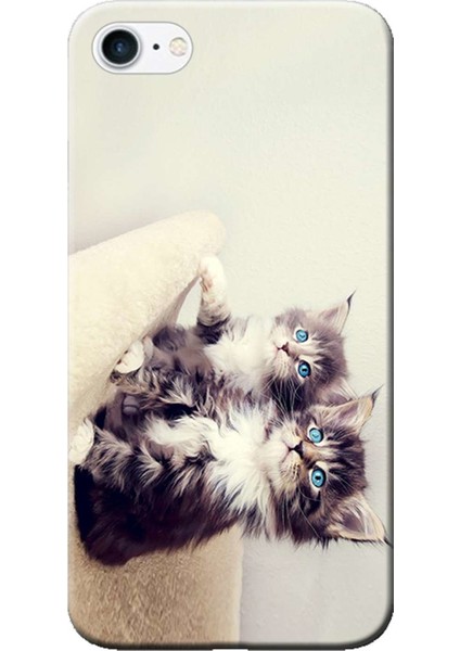 Apple iPhone 6/6S Kılıf Yavru Kediler Baskılı Esnek TPU Silikon
