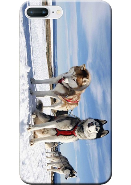 Apple iPhone 7 Plus Kılıf Kızak Husky Eskimo Köpek Baskılı Esnek TPU Silikon