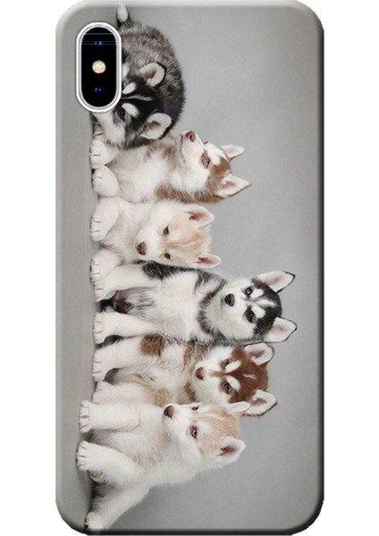 Apple iPhone X Kılıf Husky Eskimo Köpekler Baskılı Esnek TPU Silikon