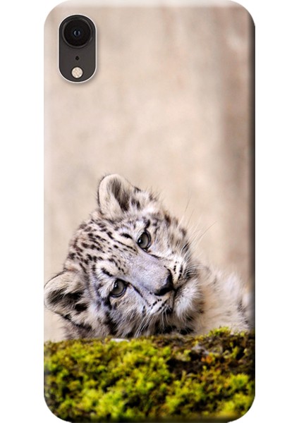 Apple iPhone XR Kılıf Yavru Leopar Baskılı Esnek TPU Silikon