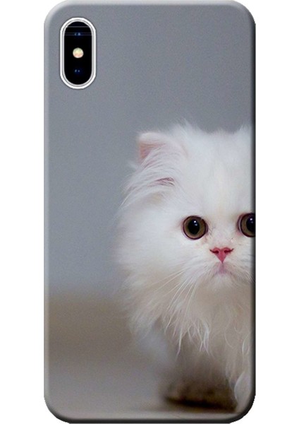 Apple iPhone XS Kılıf Beyaz Kedi Baskılı Esnek TPU Silikon