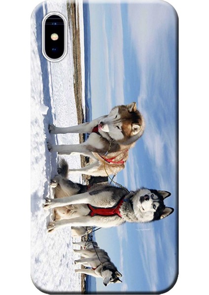 Apple iPhone XS Kılıf Kızak Husky Eskimo Köpek Baskılı Esnek TPU Silikon